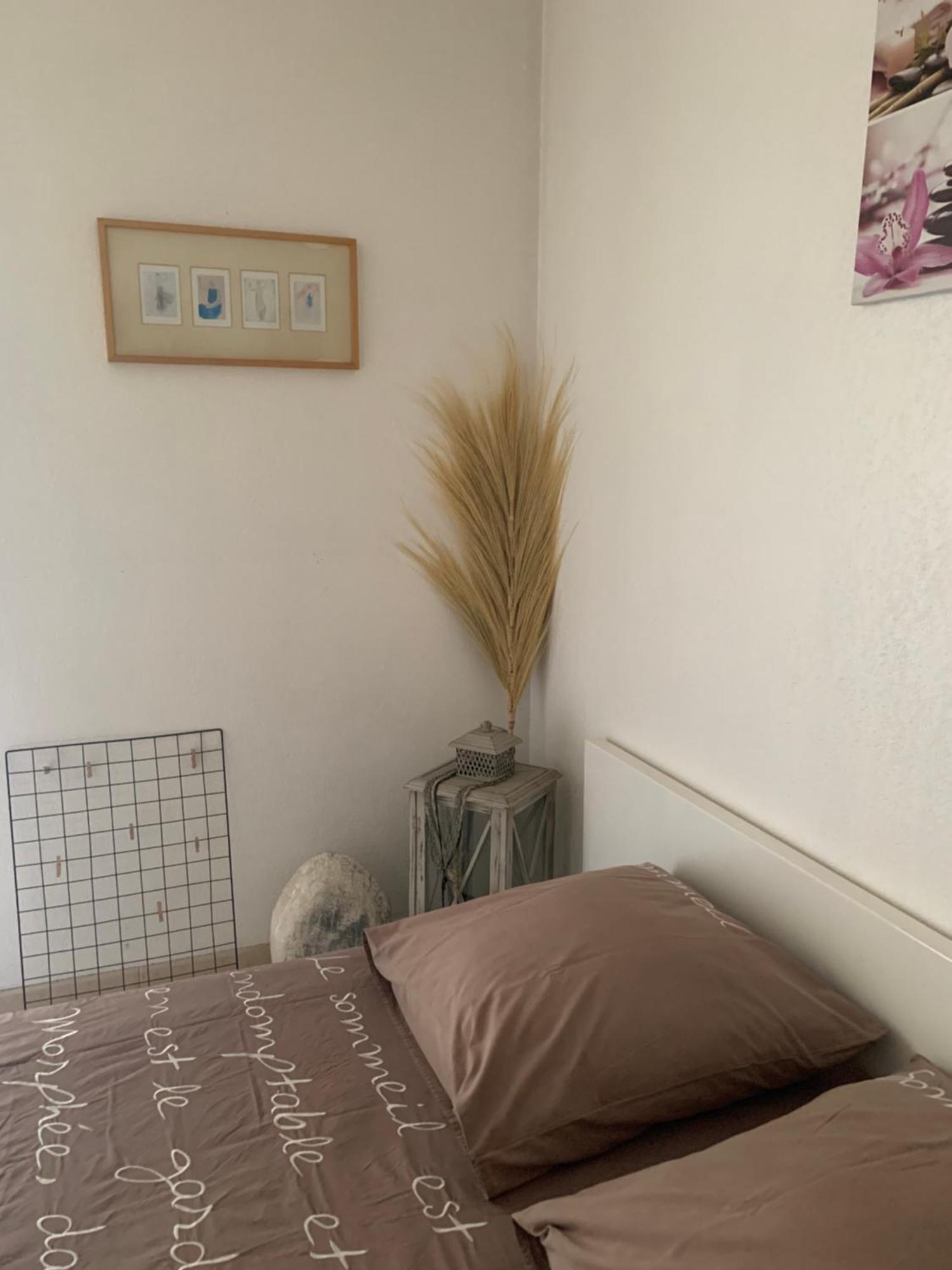 Votre Sejour Cosy A Frejus! Appartement Buitenkant foto